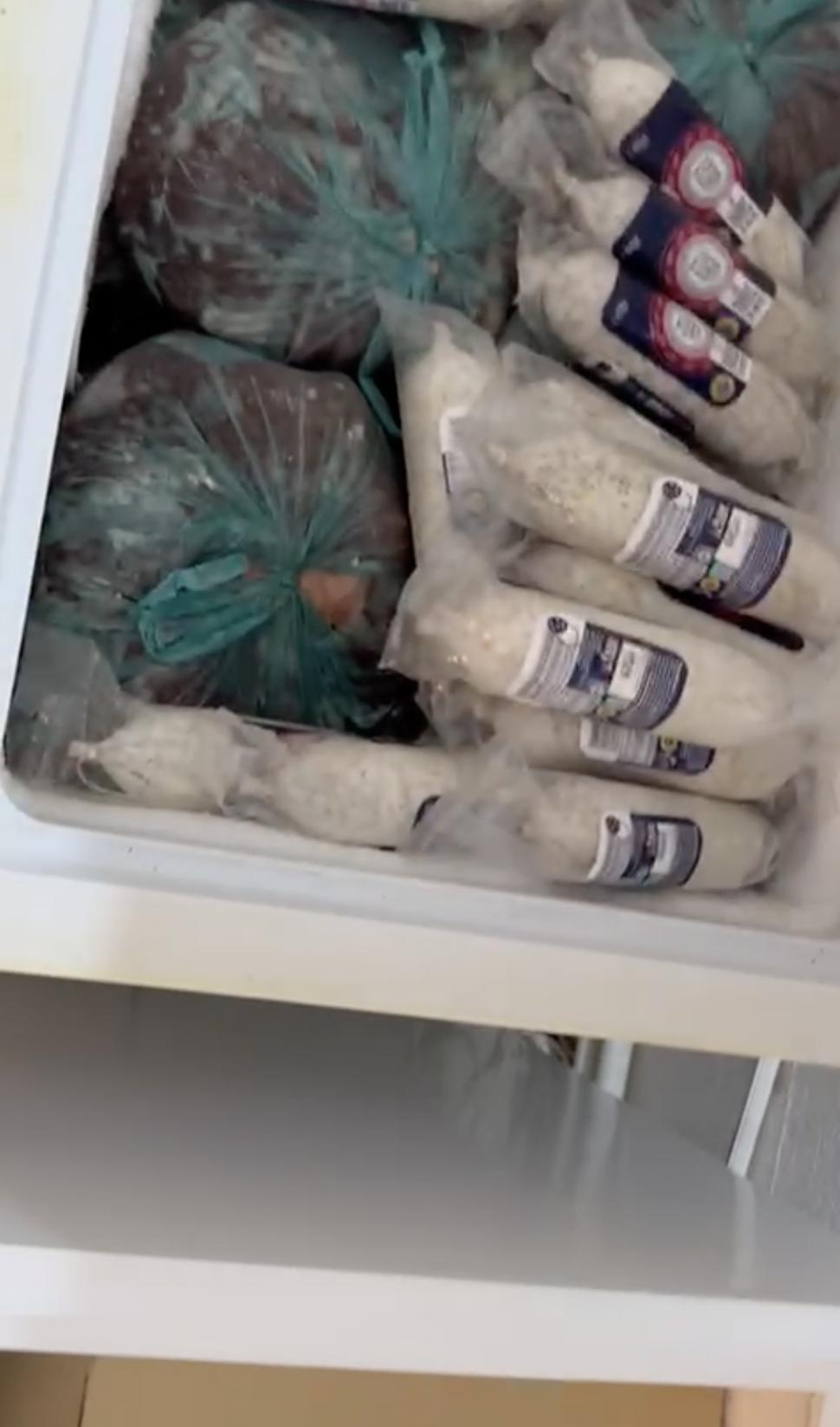 Primele imagini din azilele din Ilfov, după descinderile ANPC și ANSVSA. Ce nereguli au găsit inspectorii 845052