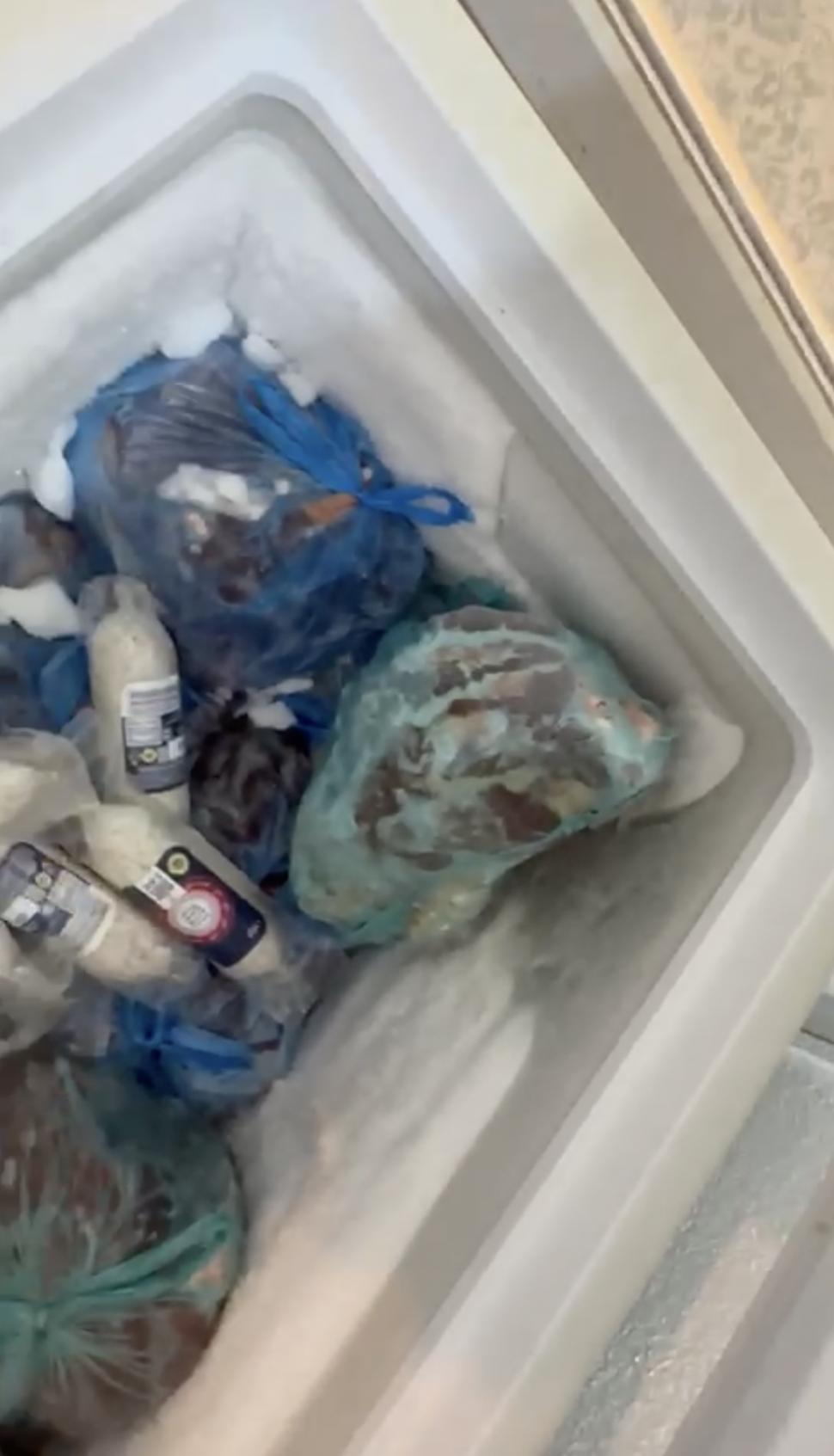 Primele imagini din azilele din Ilfov, după descinderile ANPC și ANSVSA. Ce nereguli au găsit inspectorii 845054