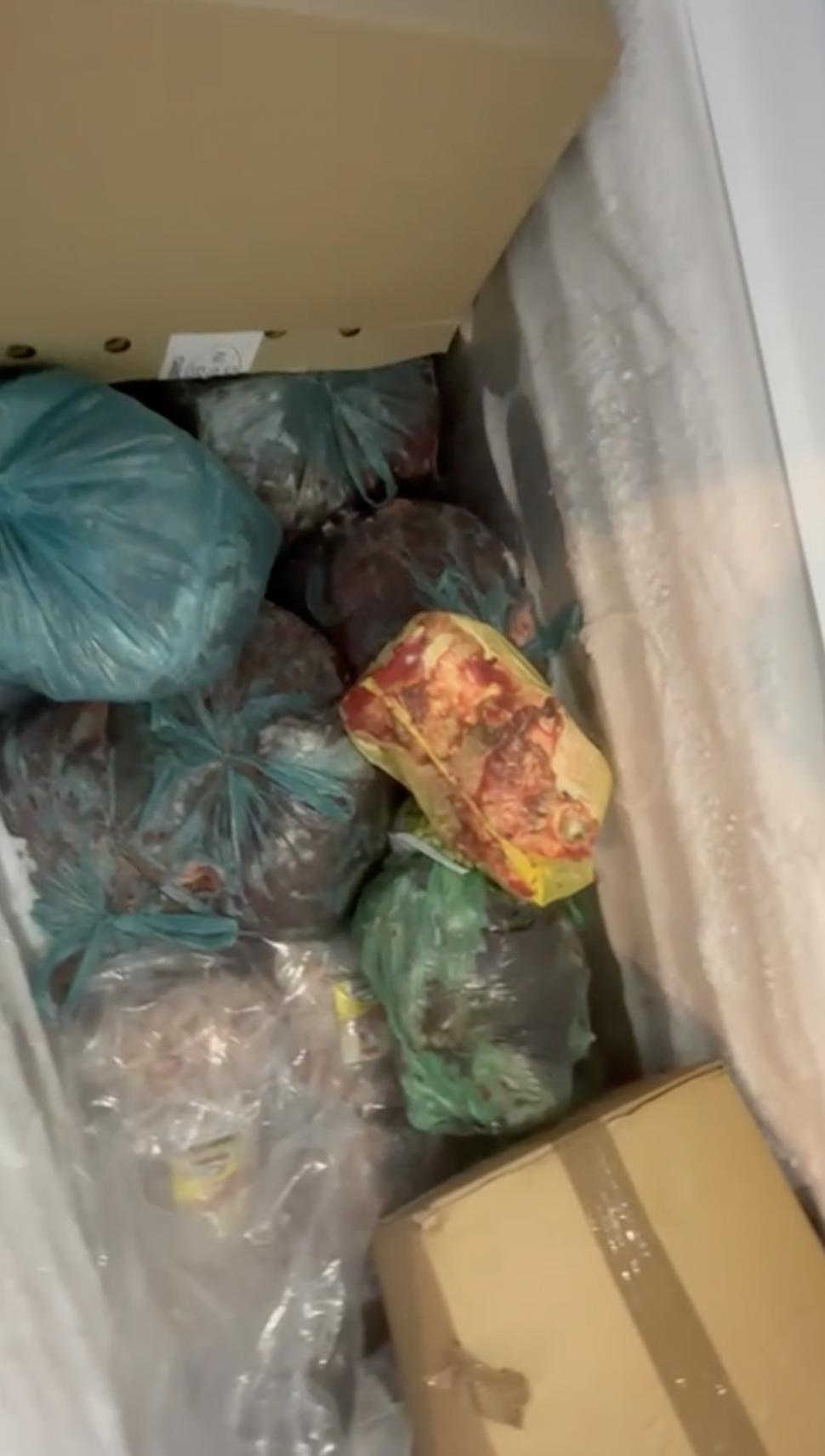 Primele imagini din azilele din Ilfov, după descinderile ANPC și ANSVSA. Ce nereguli au găsit inspectorii 845055