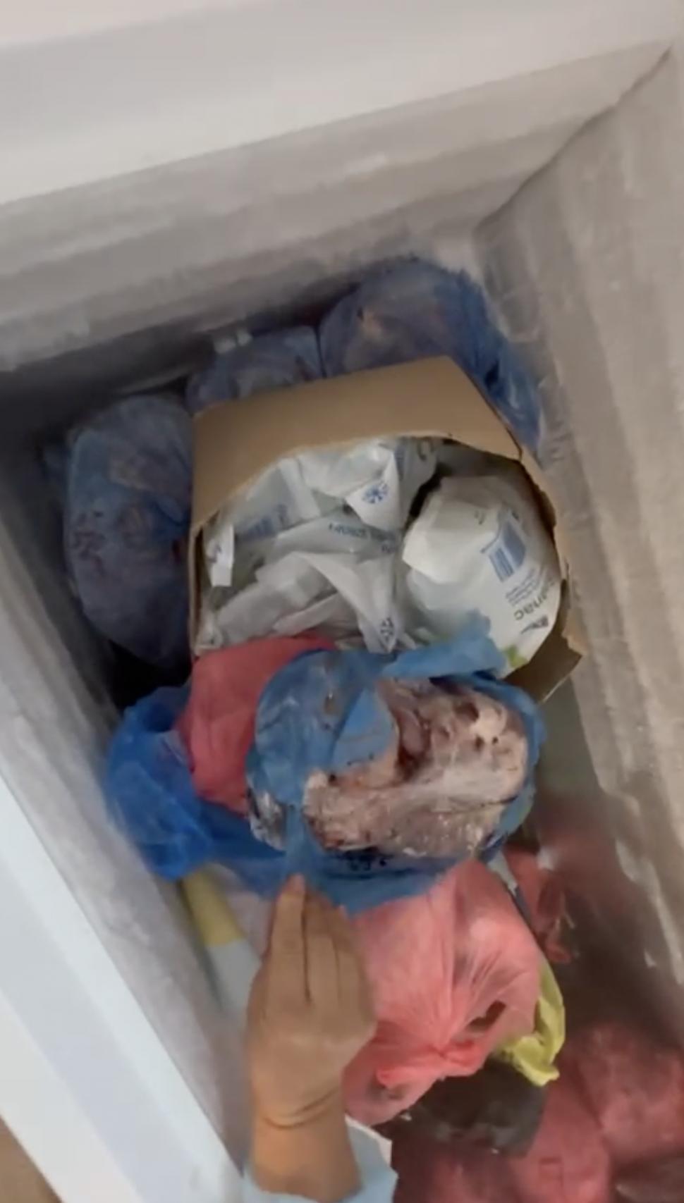 Primele imagini din azilele din Ilfov, după descinderile ANPC și ANSVSA. Ce nereguli au găsit inspectorii 845056