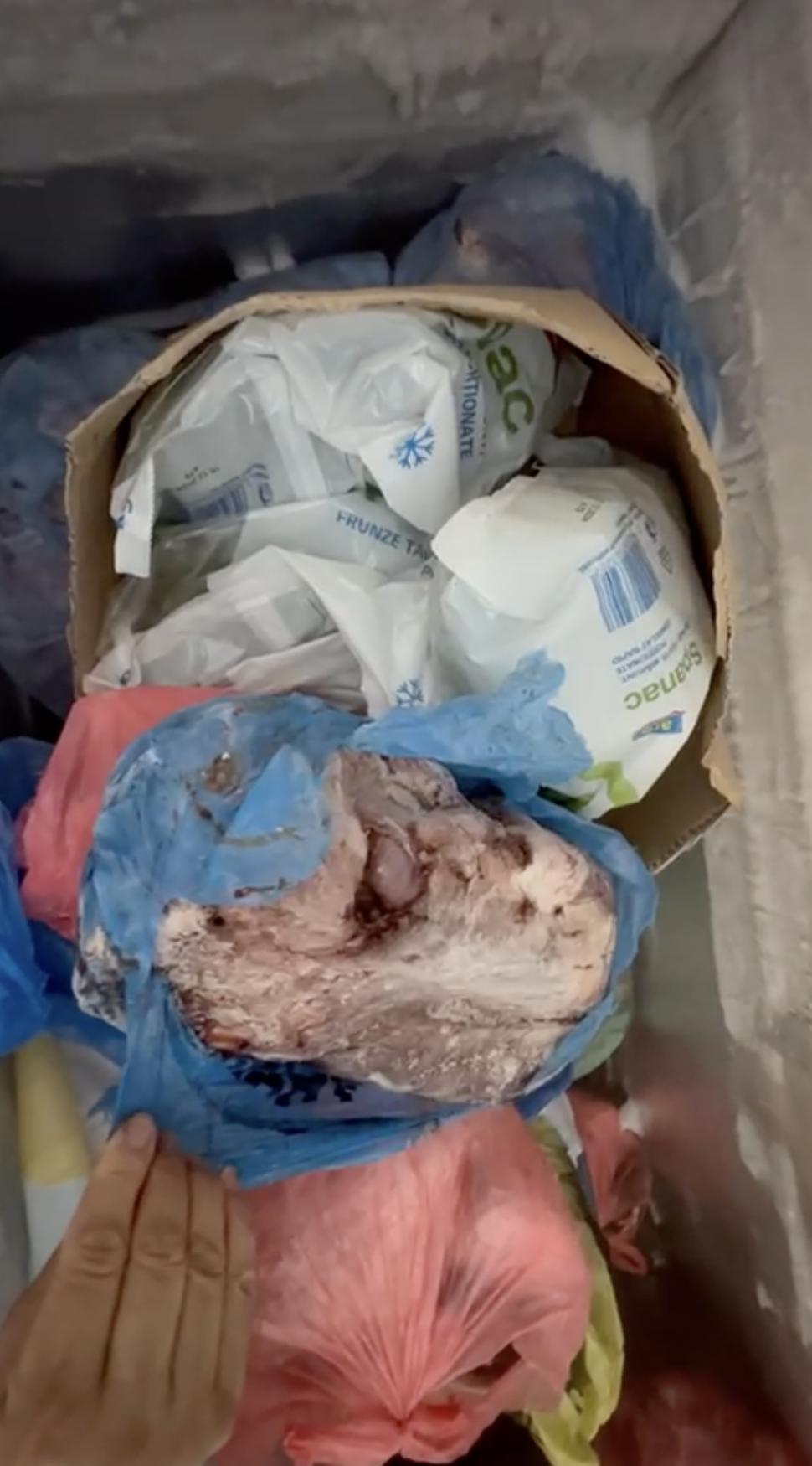 Primele imagini din azilele din Ilfov, după descinderile ANPC și ANSVSA. Ce nereguli au găsit inspectorii 845057