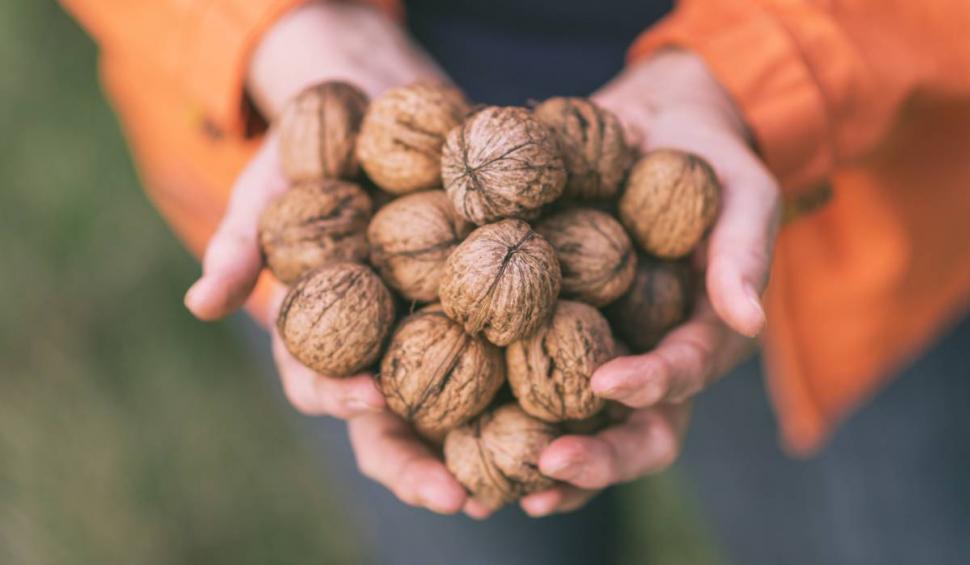 Amestecul care te scapă de guşă, alungă ciupercile şi nodulii. Lidia Fecioru: "Nu apăsăm, nu masăm, doar ungem" 845468