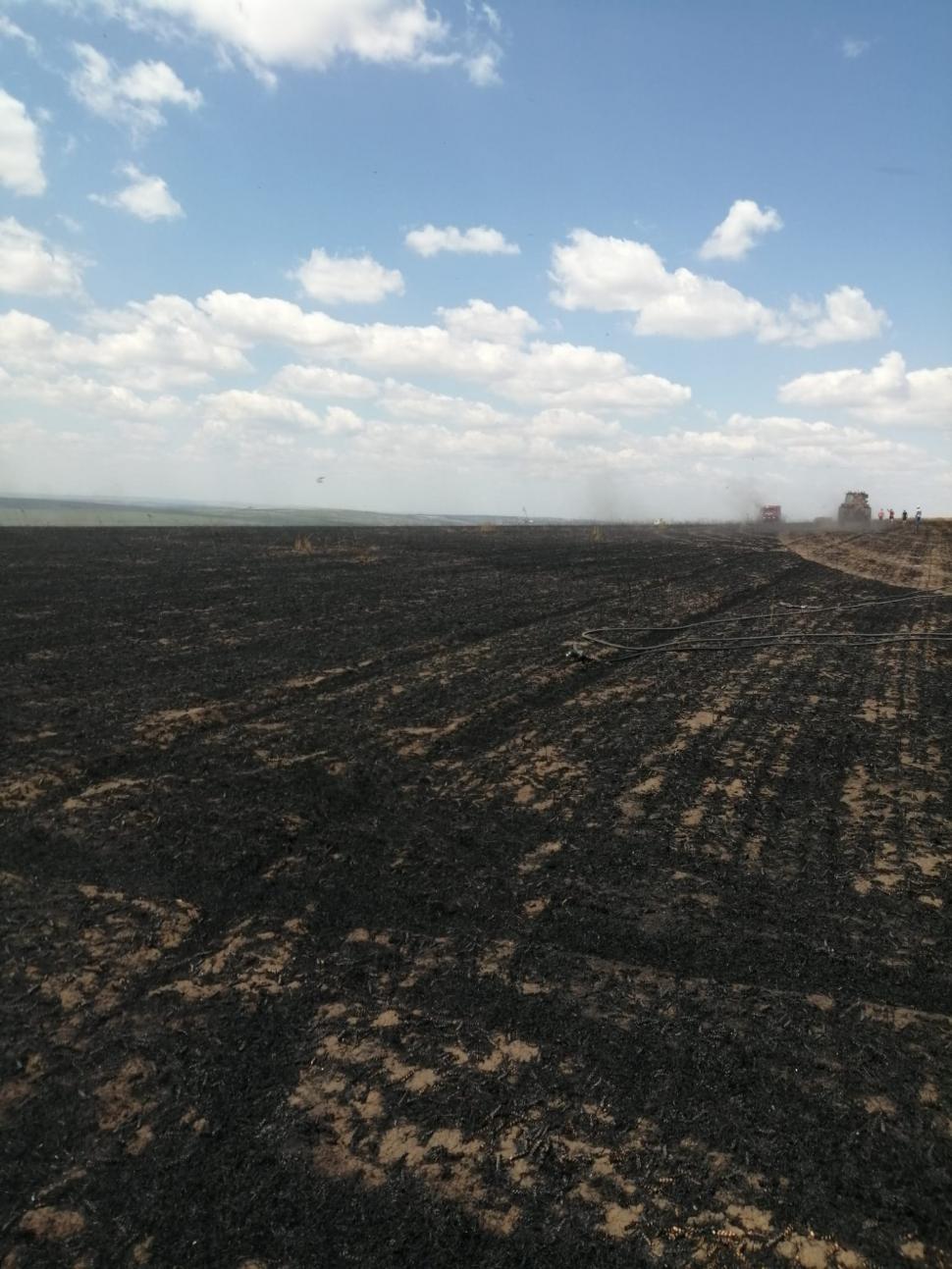 Zeci de hectare ard în Botoşani. Incendiul a pornit de la o scânteie mecanică 845558