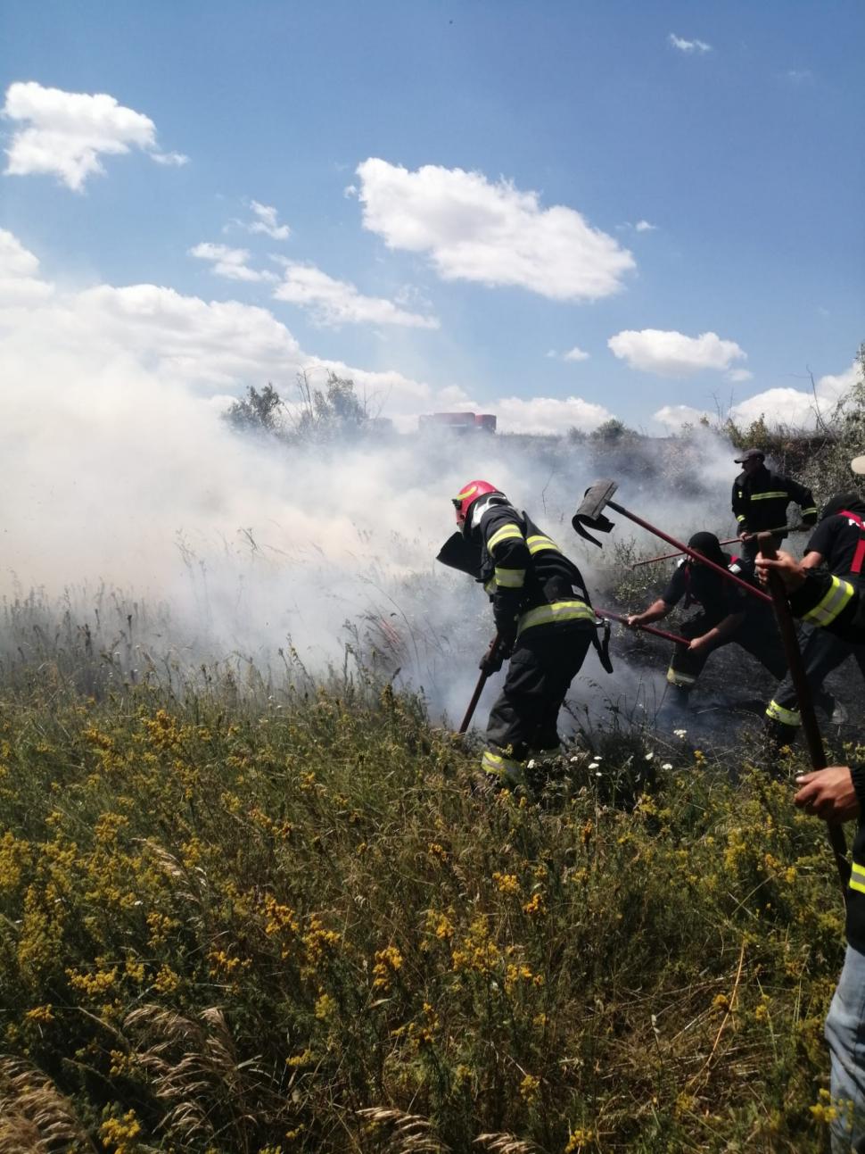 Zeci de hectare ard în Botoşani. Incendiul a pornit de la o scânteie mecanică 845559