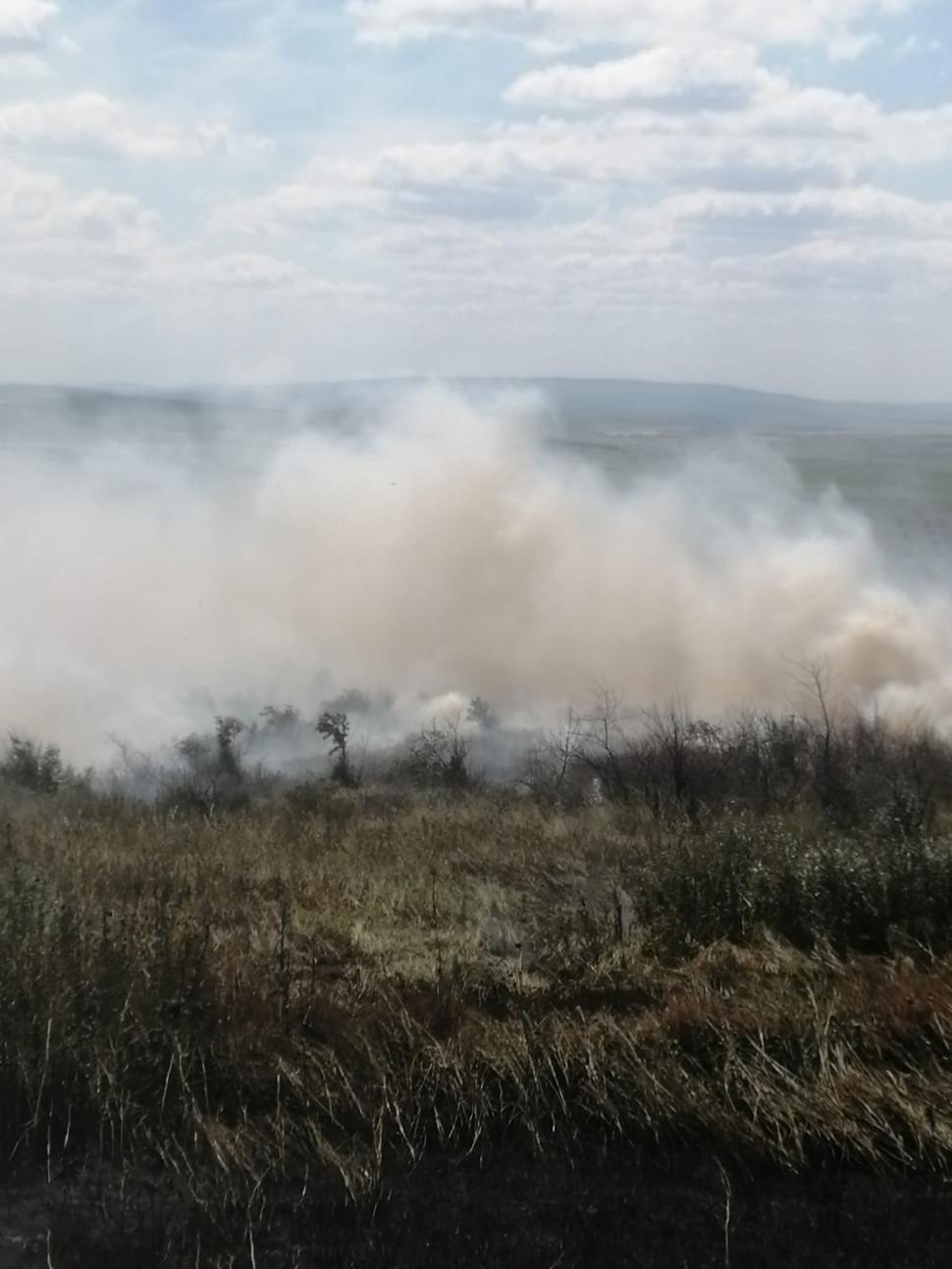Zeci de hectare ard în Botoşani. Incendiul a pornit de la o scânteie mecanică 845560