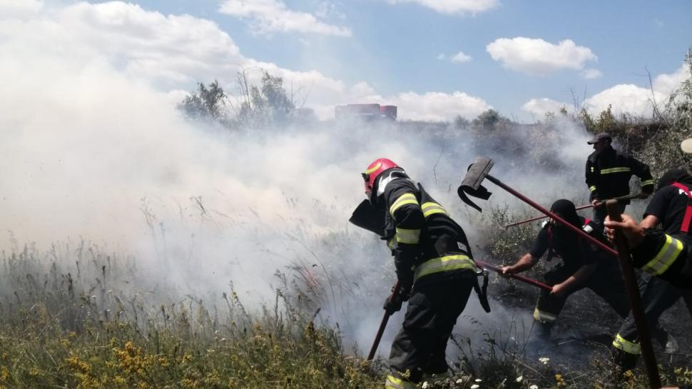 Zeci de hectare ard în Botoşani. Incendiul a pornit de la o scânteie mecanică 845561