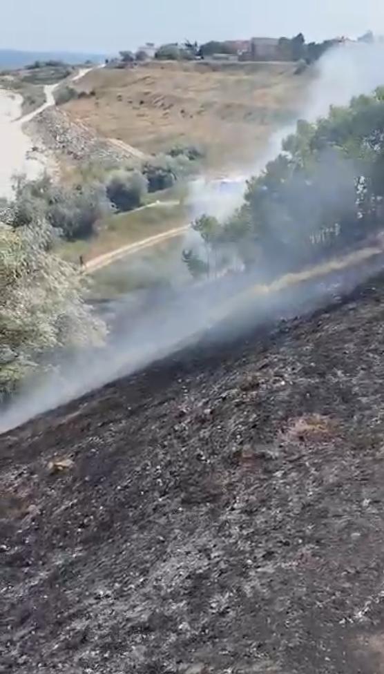 Incendiu lângă o plajă din Eforie Sud! Ard mai multe hectare de vegetație uscată 845723
