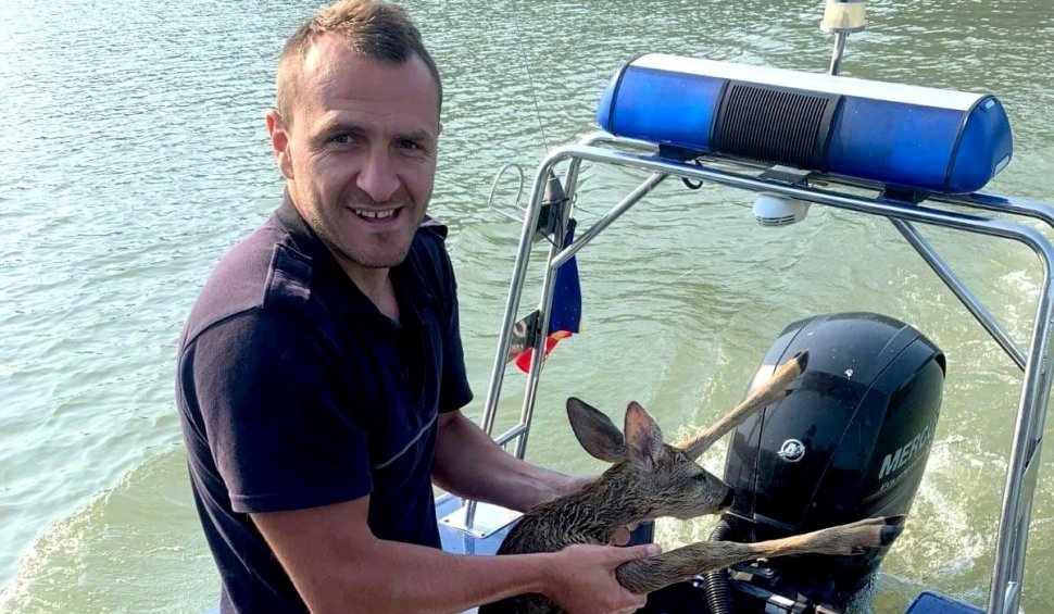 Misiune specială pe Dunăre: Pui de caprioară salvat de la înec de polițiștii de frontieră. L-au numit simbolic "Bambi"