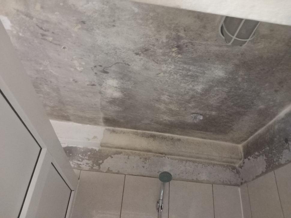 Saltele distruse, pereţi mucegăiţi, mâncare alterată. 19 copii evacuaţi de urgenţă din două centre de plasament din Timiş 845939