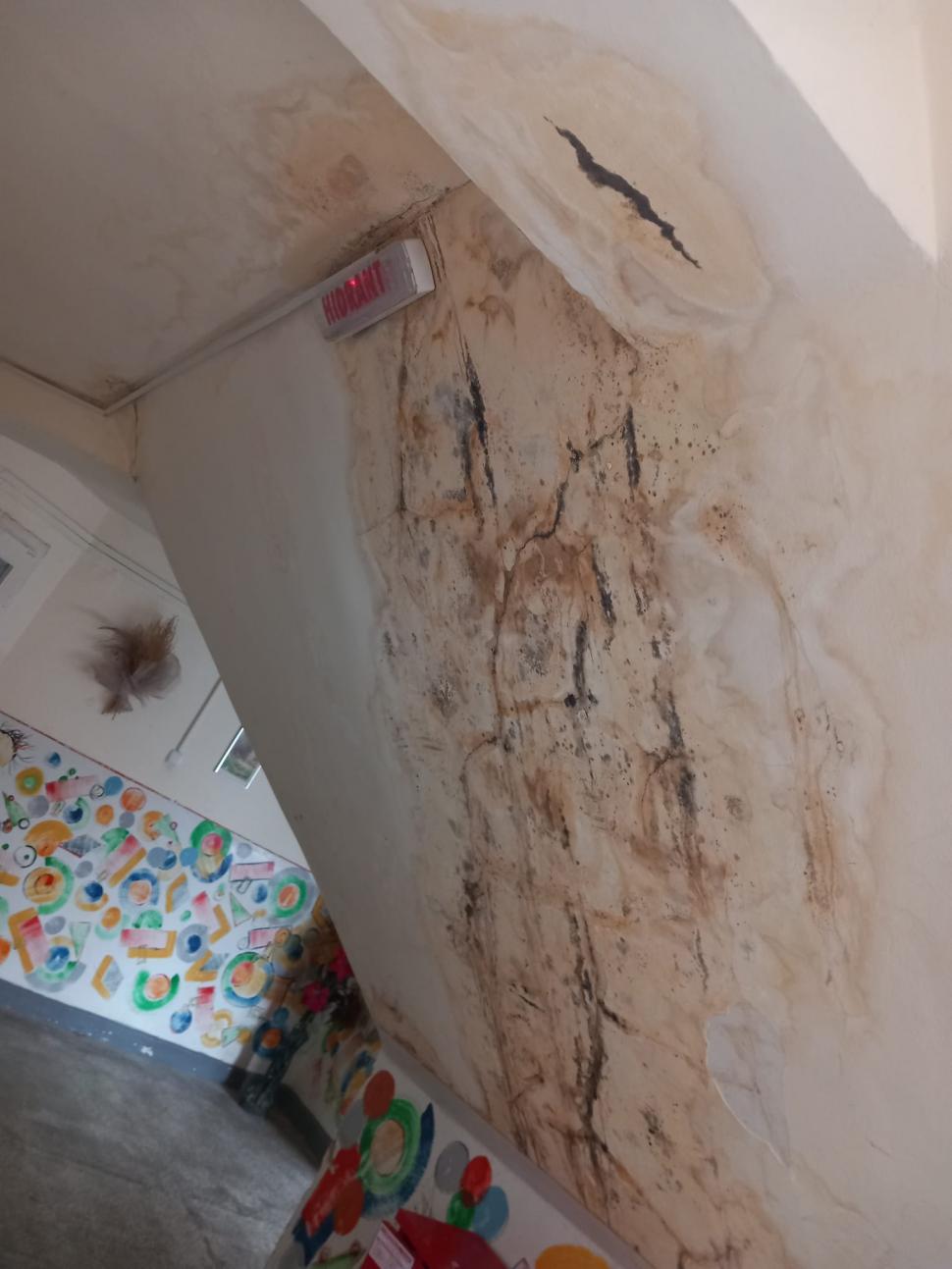 Saltele distruse, pereţi mucegăiţi, mâncare alterată. 19 copii evacuaţi de urgenţă din două centre de plasament din Timiş 845941