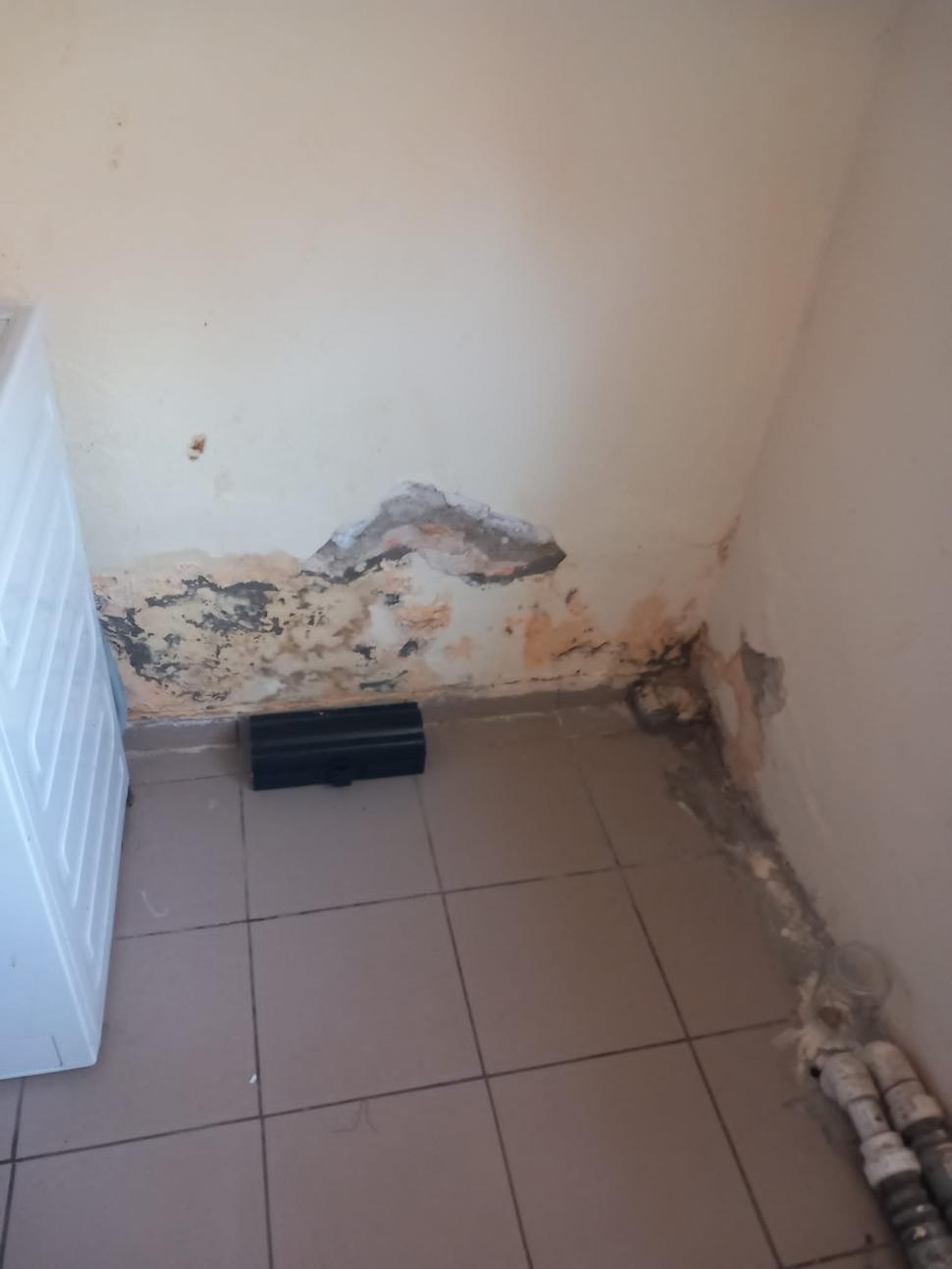 Saltele distruse, pereţi mucegăiţi, mâncare alterată. 19 copii evacuaţi de urgenţă din două centre de plasament din Timiş 845943