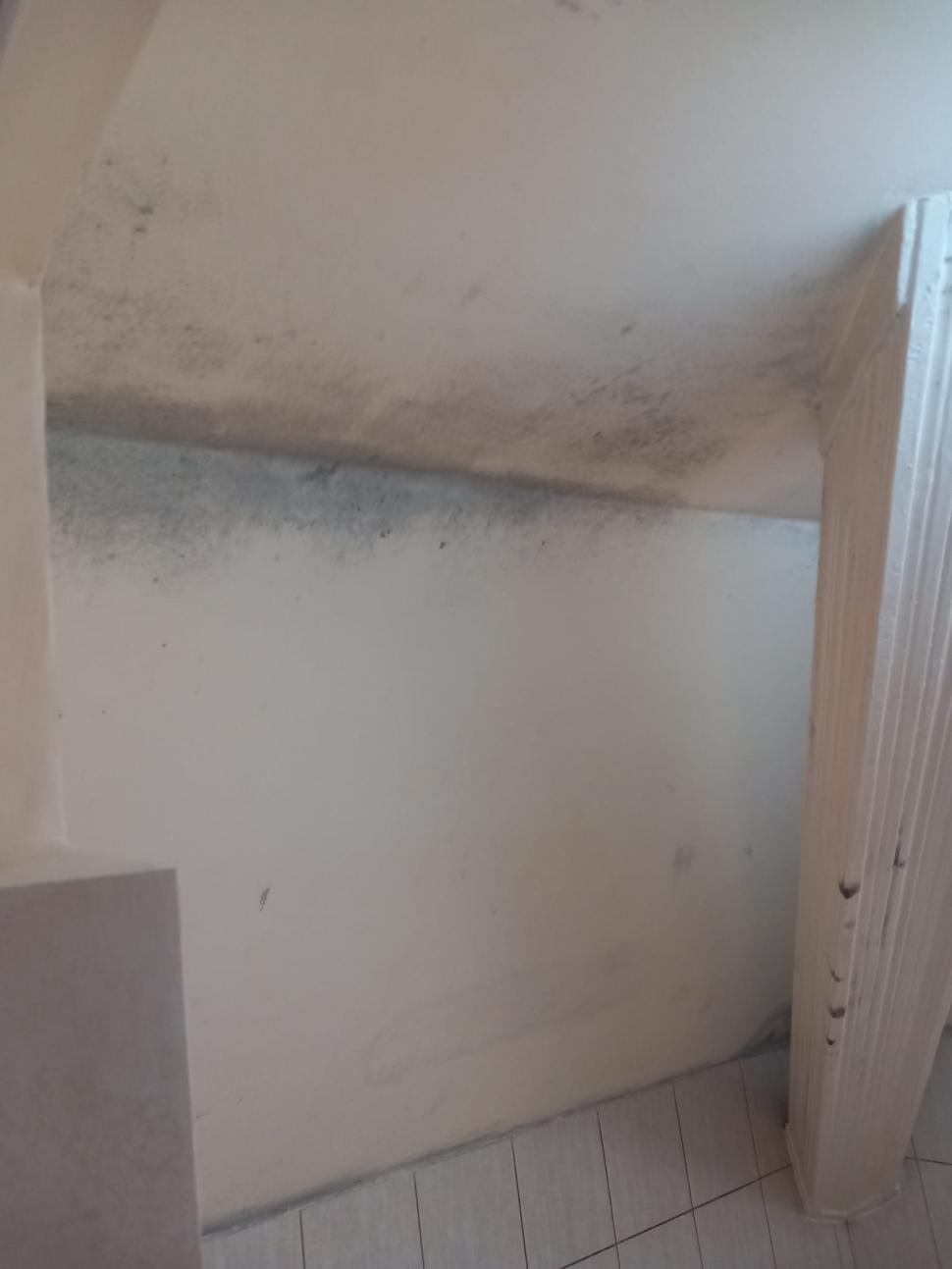 Saltele distruse, pereţi mucegăiţi, mâncare alterată. 19 copii evacuaţi de urgenţă din două centre de plasament din Timiş 845945