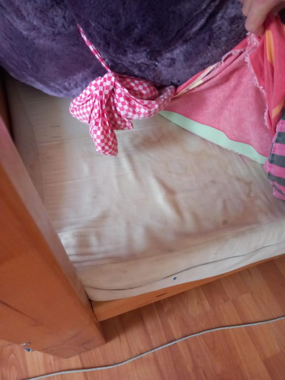 Saltele distruse, pereţi mucegăiţi, mâncare alterată. 19 copii evacuaţi de urgenţă din două centre de plasament din Timiş 845947