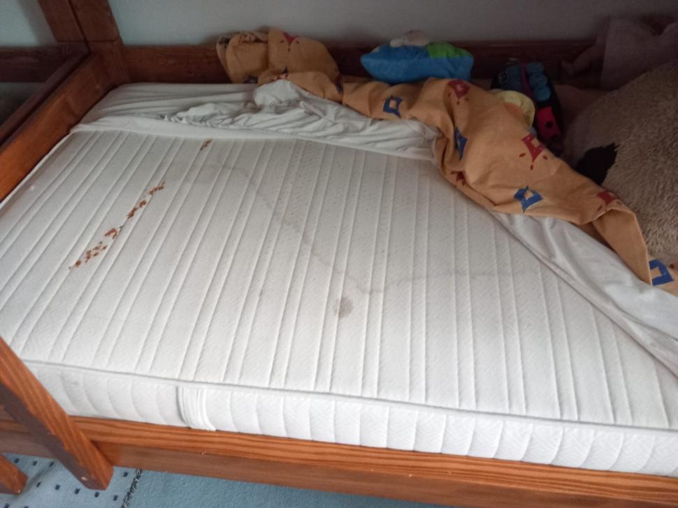 Saltele distruse, pereţi mucegăiţi, mâncare alterată. 19 copii evacuaţi de urgenţă din două centre de plasament din Timiş 845948