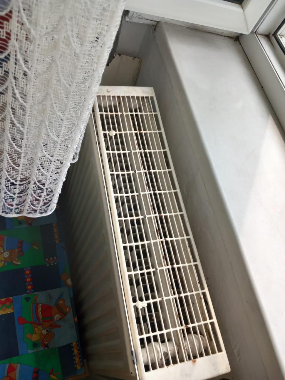 Saltele distruse, pereţi mucegăiţi, mâncare alterată. 19 copii evacuaţi de urgenţă din două centre de plasament din Timiş 845957