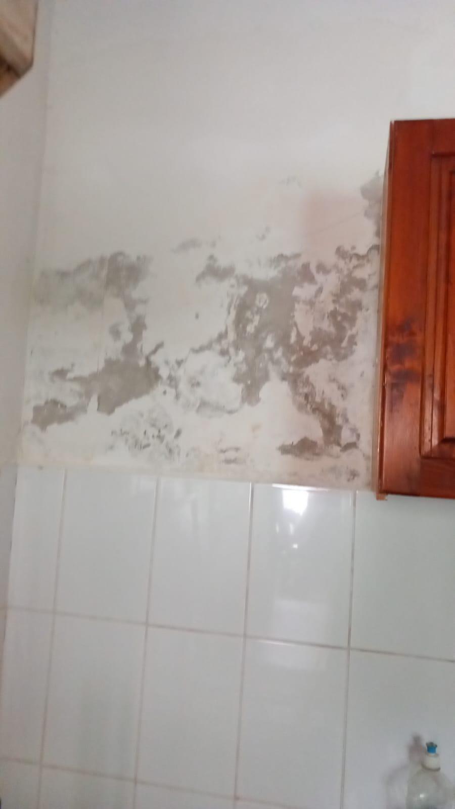 Saltele distruse, pereţi mucegăiţi, mâncare alterată. 19 copii evacuaţi de urgenţă din două centre de plasament din Timiş 845958