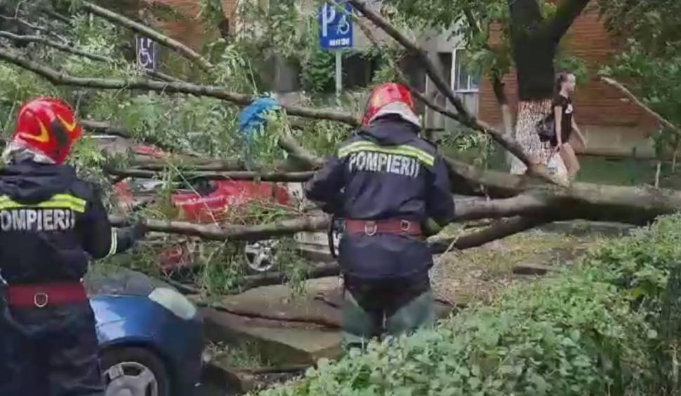 Imagini cu urgia care a lovit vestul țării: Peste 80 de apeluri la ISU, copaci căzuți peste mașini și străzi inundate 846178