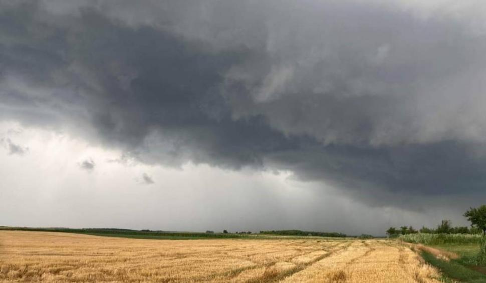 Imagini cu urgia care a lovit vestul țării: Peste 80 de apeluri la ISU, copaci căzuți peste mașini și străzi inundate 846179