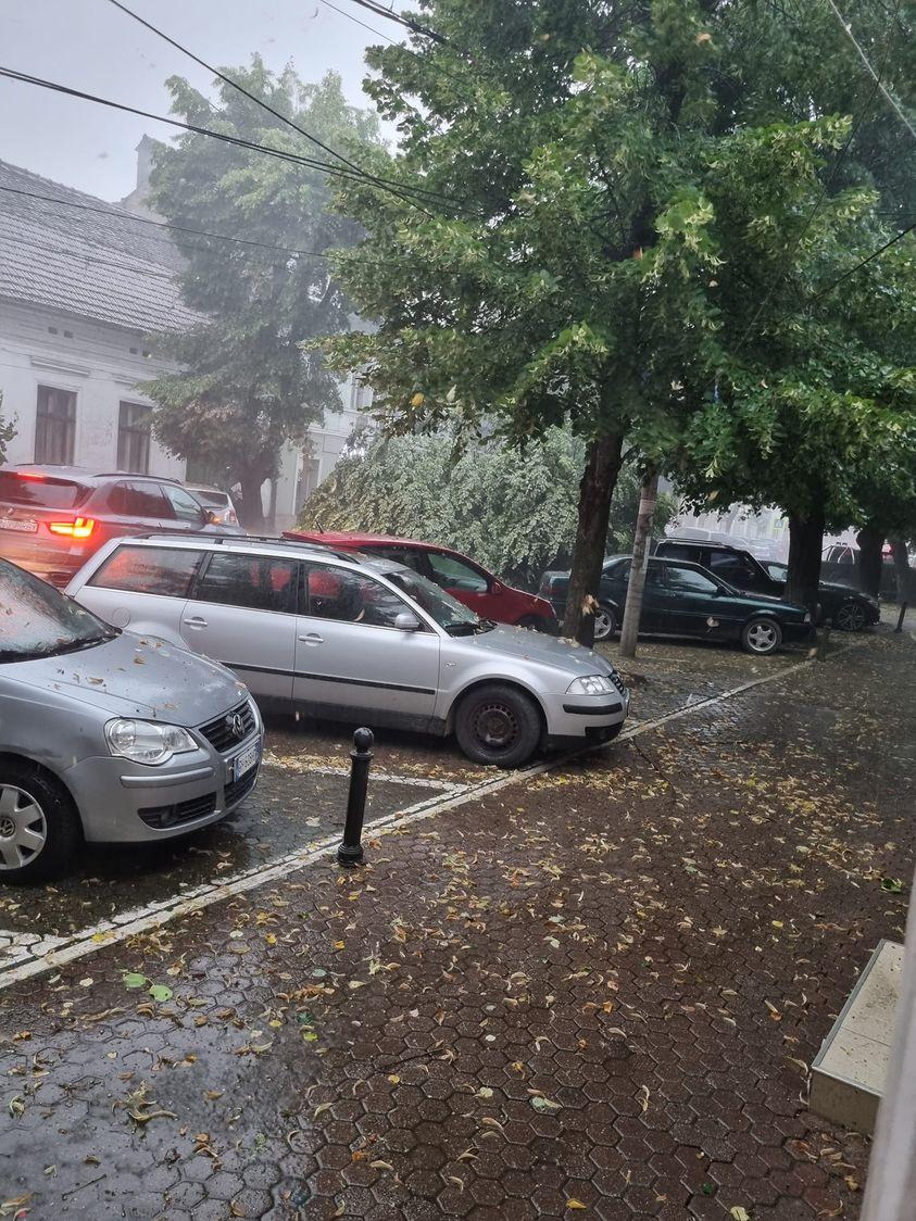 Furtuna puternică a făcut prăpăd în Bistrița. Un copac a căzut peste o mașină în care se aflau două fete | Operațiune de salvare cu militari 846368