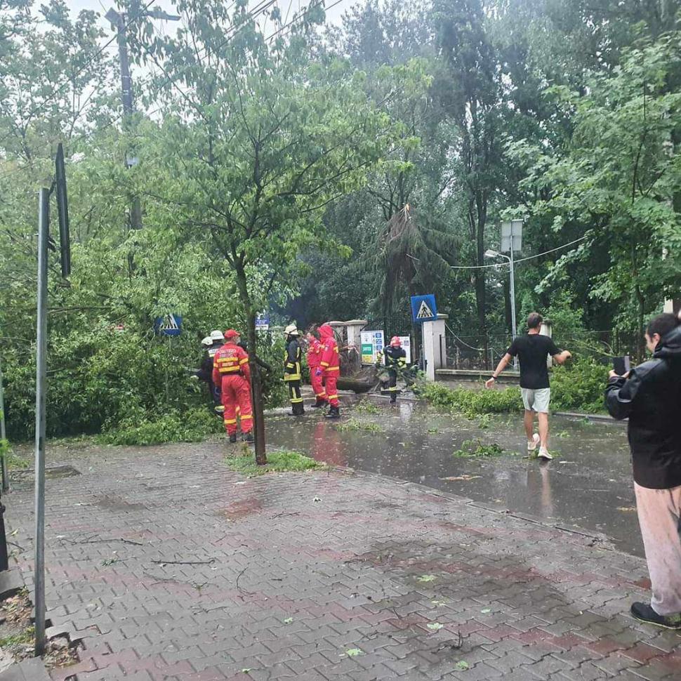 Furtuna puternică a făcut prăpăd în Bistrița. Un copac a căzut peste o mașină în care se aflau două fete | Operațiune de salvare cu militari 846370