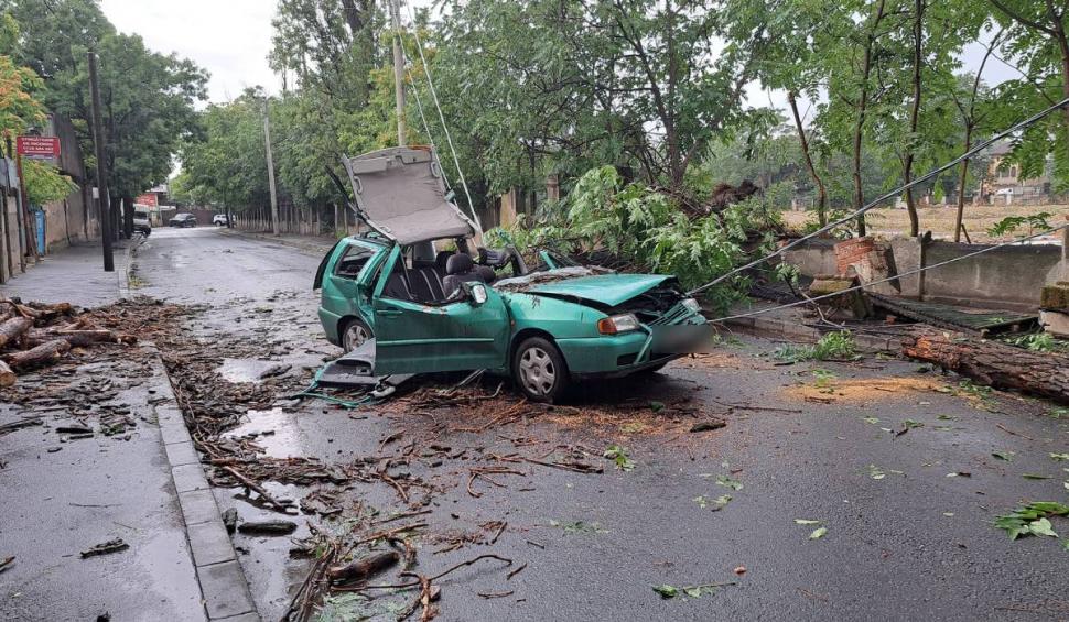 Un bărbat a ajuns la spital după ce un copac s-a prăbușit peste mașina în care se afla, în București. Piedone: ”Am făcut apel! Nu putem aștepta o tragedie pentru a lua măsuri" 846492