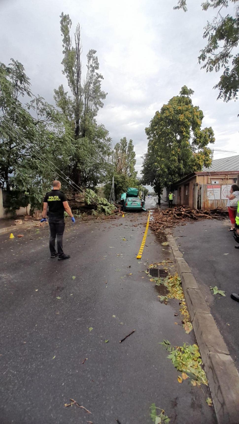 Un bărbat a ajuns la spital după ce un copac s-a prăbușit peste mașina în care se afla, în București. Piedone: ”Am făcut apel! Nu putem aștepta o tragedie pentru a lua măsuri" 846493