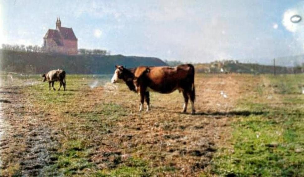Imagini incredibile cu cea mai veche clădire din România. Cum arată construcția veche de 1000 de ani 846641