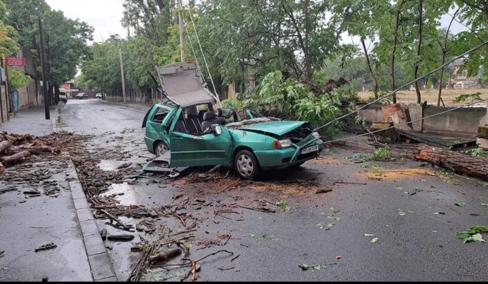 Copaci căzuți peste mașini, linii de autobuz și tramvai blocate, la prima oră, după o furtună puternică în București și Ilfov 846456