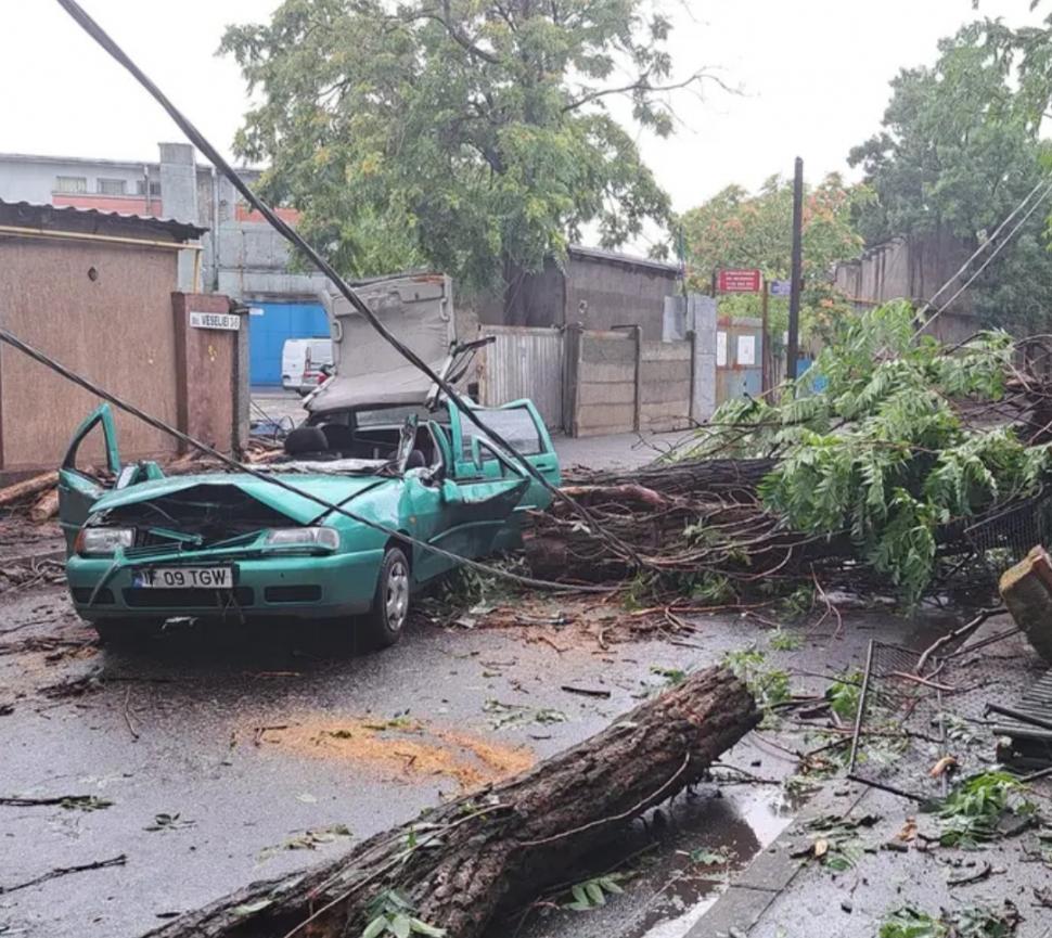 Copaci căzuți peste mașini, linii de autobuz și tramvai blocate, la prima oră, după o furtună puternică în București și Ilfov 846457