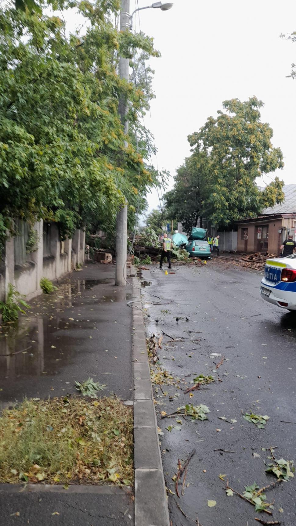 "Iată că astăzi asistăm la un incident grav": Piedone îl somează pe Nicușor Dan, după ce un bărbat a fost rănit într-o mașină strivită de un copac 846494