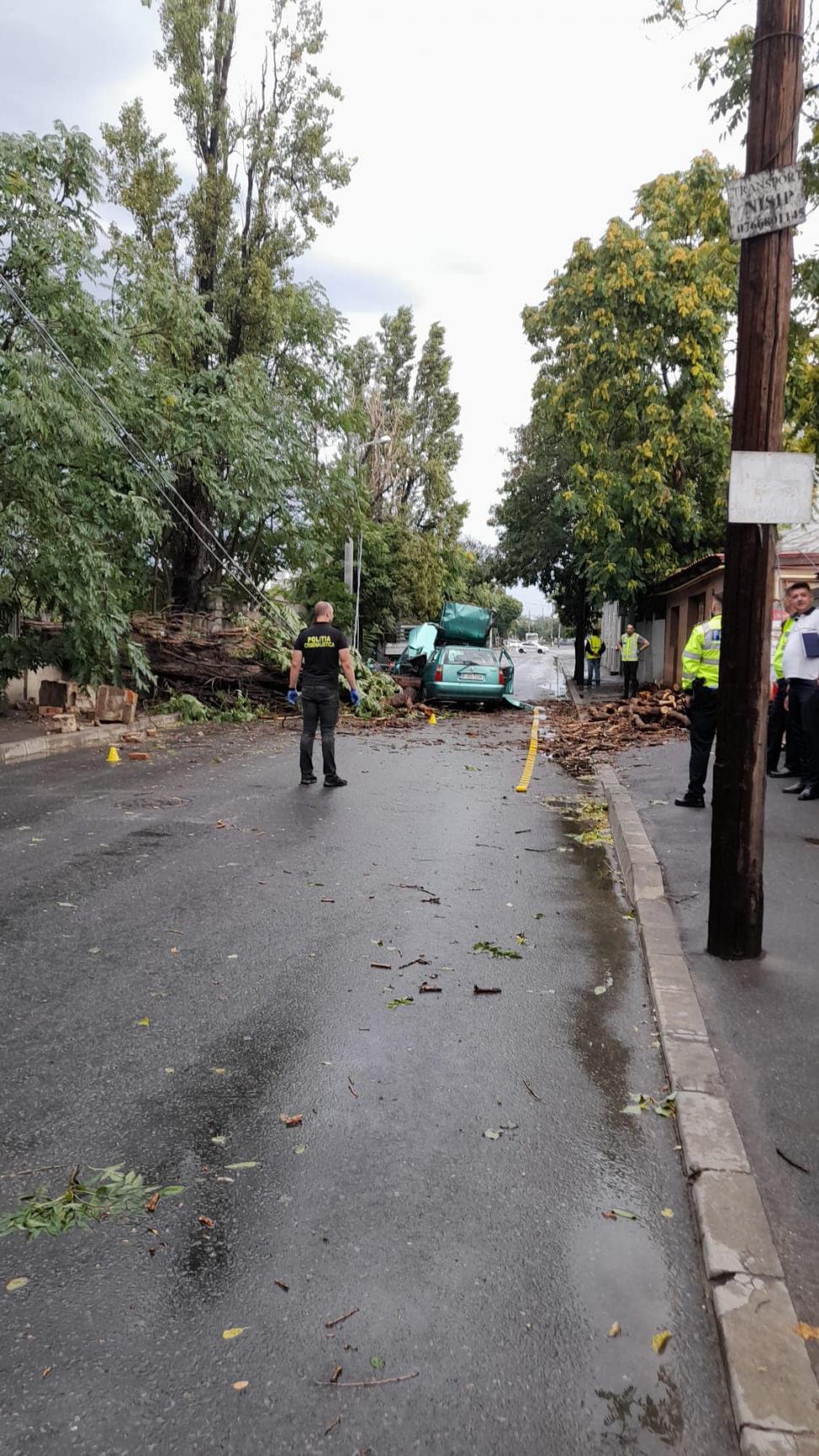 "Iată că astăzi asistăm la un incident grav": Piedone îl somează pe Nicușor Dan, după ce un bărbat a fost rănit într-o mașină strivită de un copac 846495