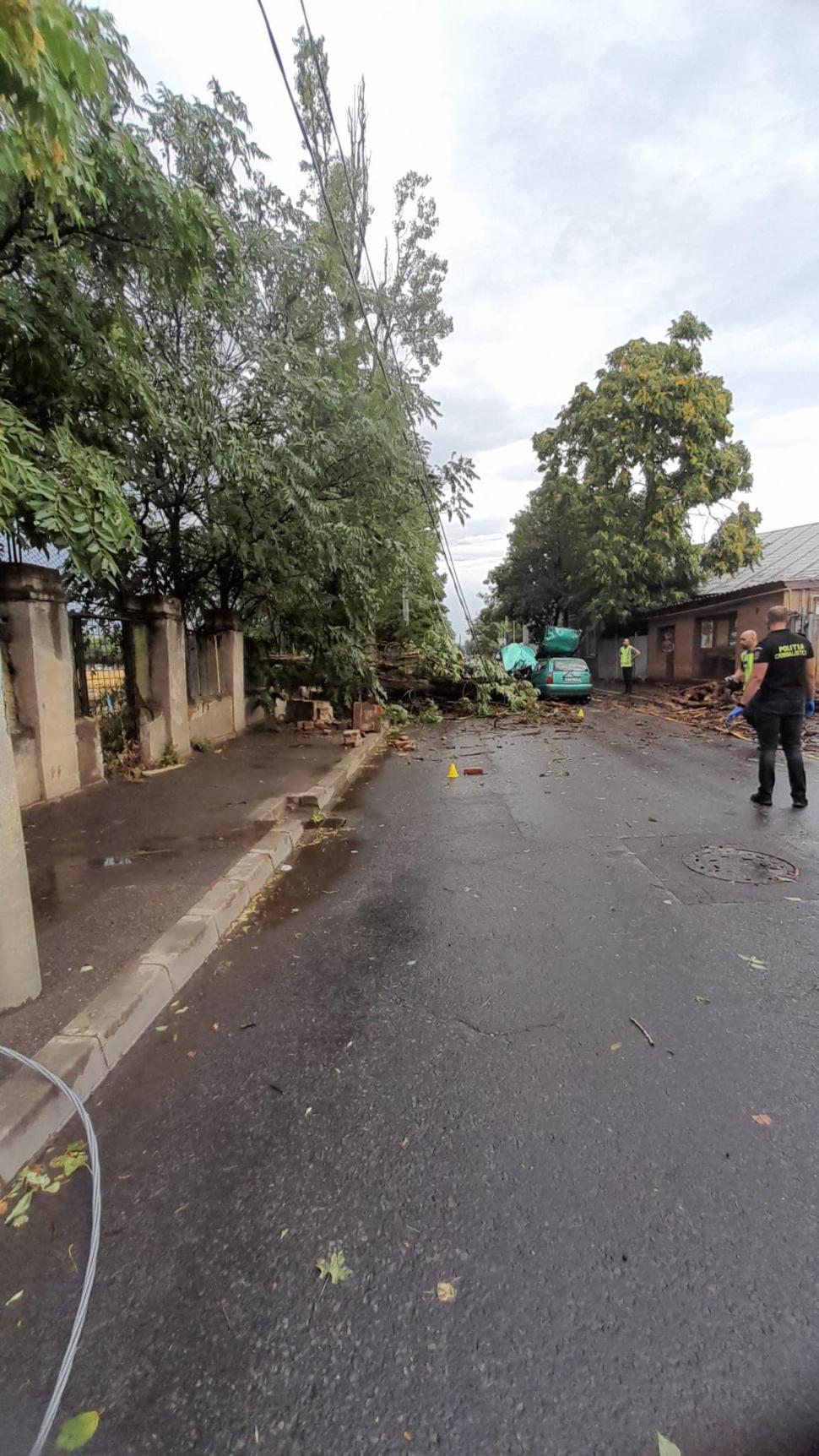 "Iată că astăzi asistăm la un incident grav": Piedone îl somează pe Nicușor Dan, după ce un bărbat a fost rănit într-o mașină strivită de un copac 846497