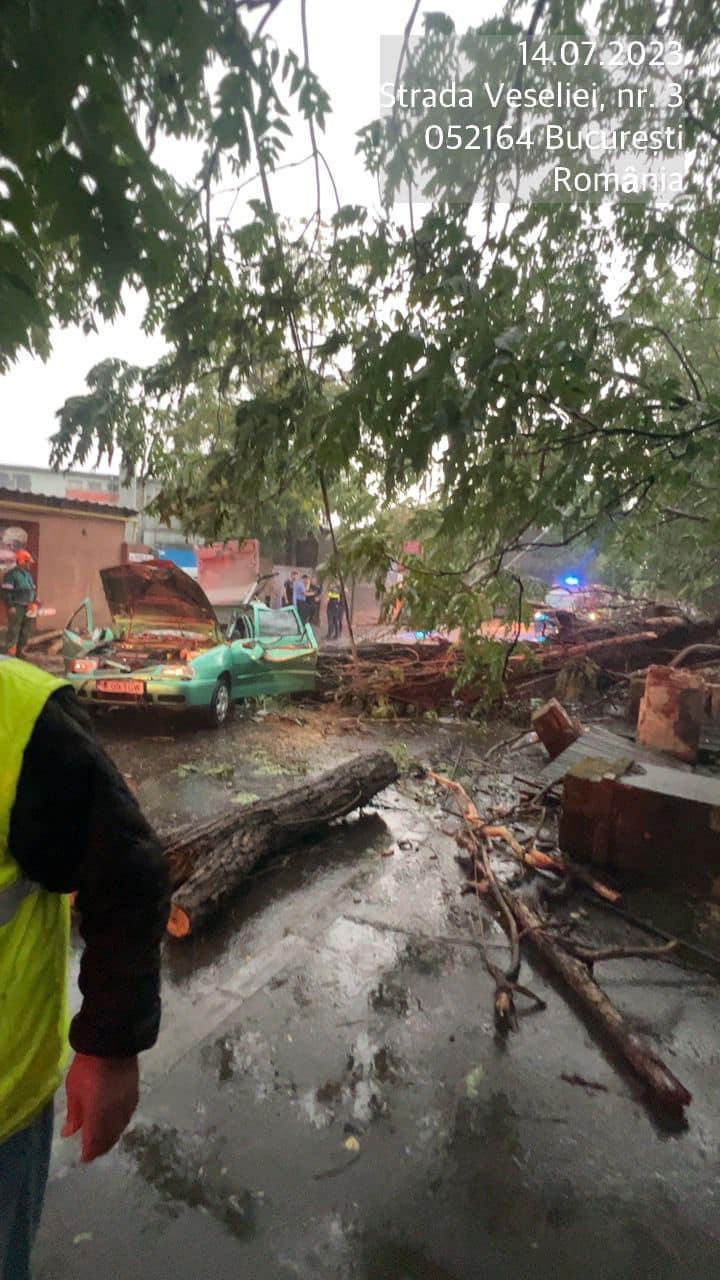 "Iată că astăzi asistăm la un incident grav": Piedone îl somează pe Nicușor Dan, după ce un bărbat a fost rănit într-o mașină strivită de un copac 846498