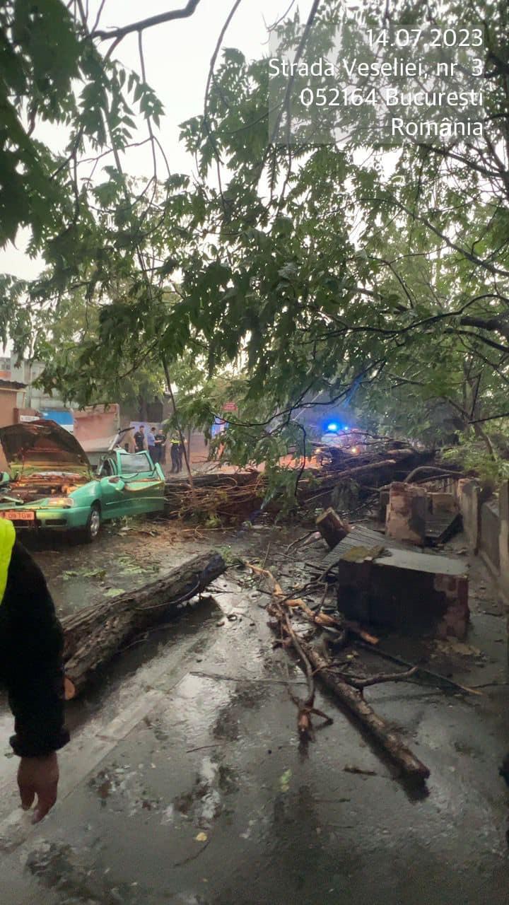 "Iată că astăzi asistăm la un incident grav": Piedone îl somează pe Nicușor Dan, după ce un bărbat a fost rănit într-o mașină strivită de un copac 846499