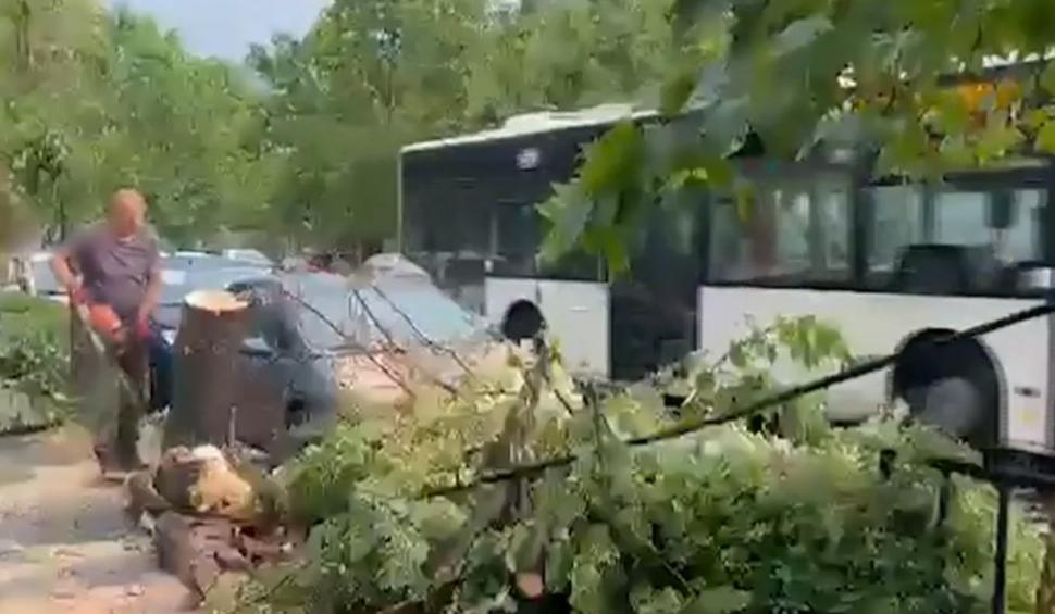 Furtunile au făcut ravagii în România. Imaginile dezastrului de astăzi 846609