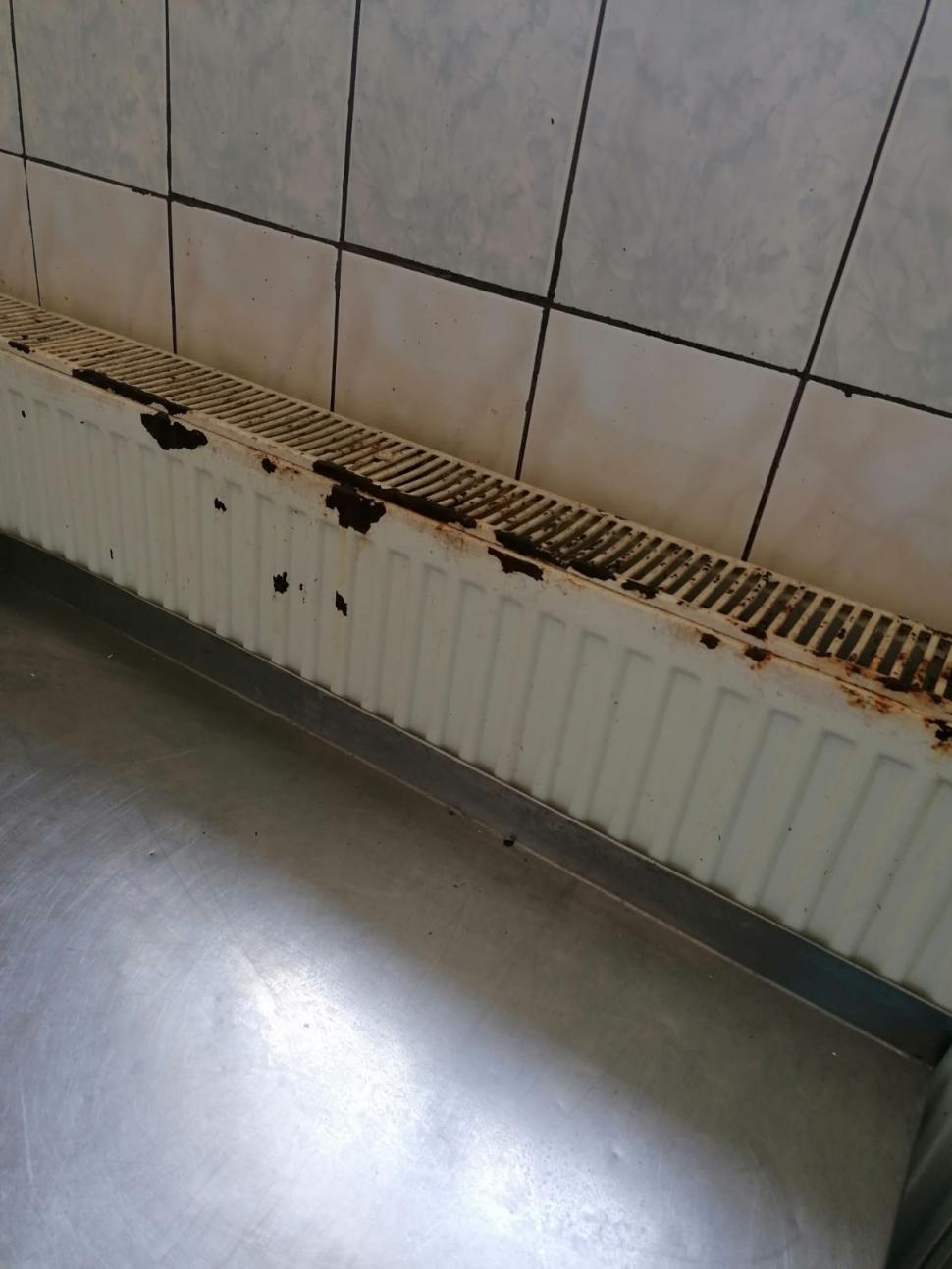 Nereguli la Centrul de zi "Ion Holban” din Iași. 62 de copii cu nevoi speciale locuiesc în condiții improprii. Prefectul cere demisia președintelui CJ 846720