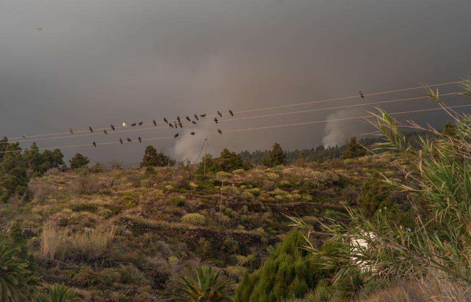 Incendii masive în Spania: Peste 4.000 de oameni salvaţi din calea flăcărilor 847004