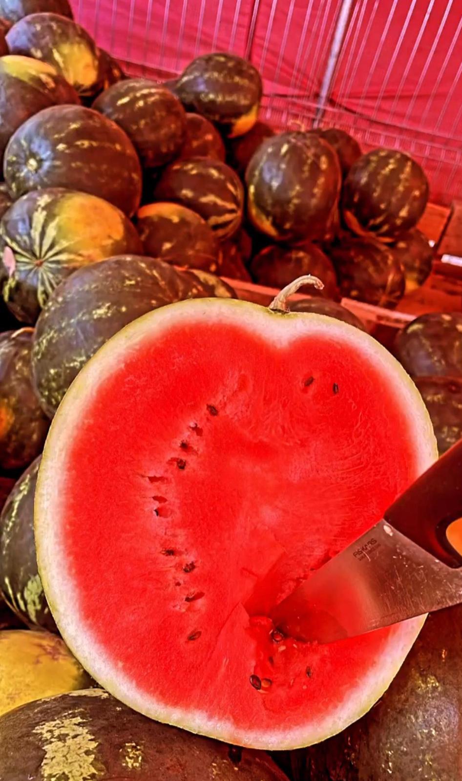 ”Decât să muncesc 10-12 ore în altă țară, mai bine muncesc 15 în țara mea” Ionuț s-a întors în România după 10 ani și și-a deschis propria afacere 847087