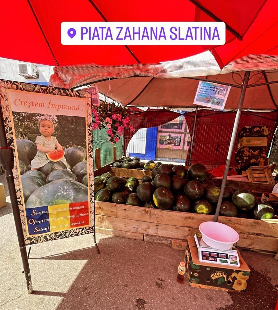 ”Decât să muncesc 10-12 ore în altă țară, mai bine muncesc 15 în țara mea” Ionuț s-a întors în România după 10 ani și și-a deschis propria afacere 847088