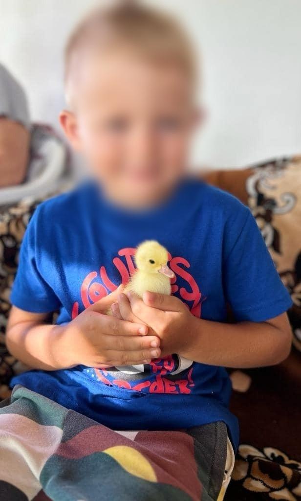 ”De azi eşti o amintire, puiule. Trebuia pe mine să mă ia Dumnezeu” Un băiețel de 5 ani a murit după ce a căzut în piscina hotelului, unde era cazat în vacanță împreună cu părinții și sora lui 847114