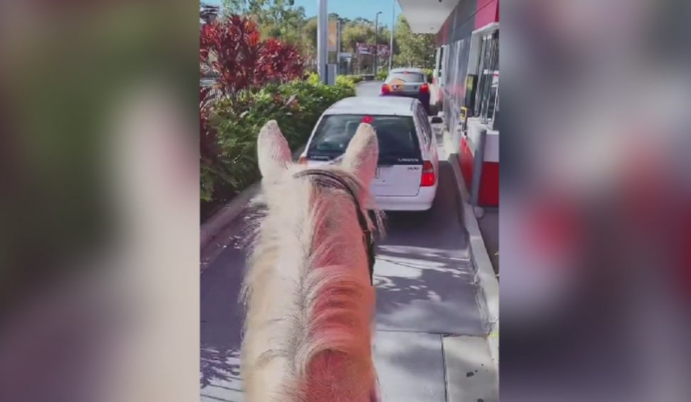 Imagini virale cu o femeie care a mers cu calul la drive-thru McDonald's, în Australia: "Chiar aveam nevoie de o cafea!"