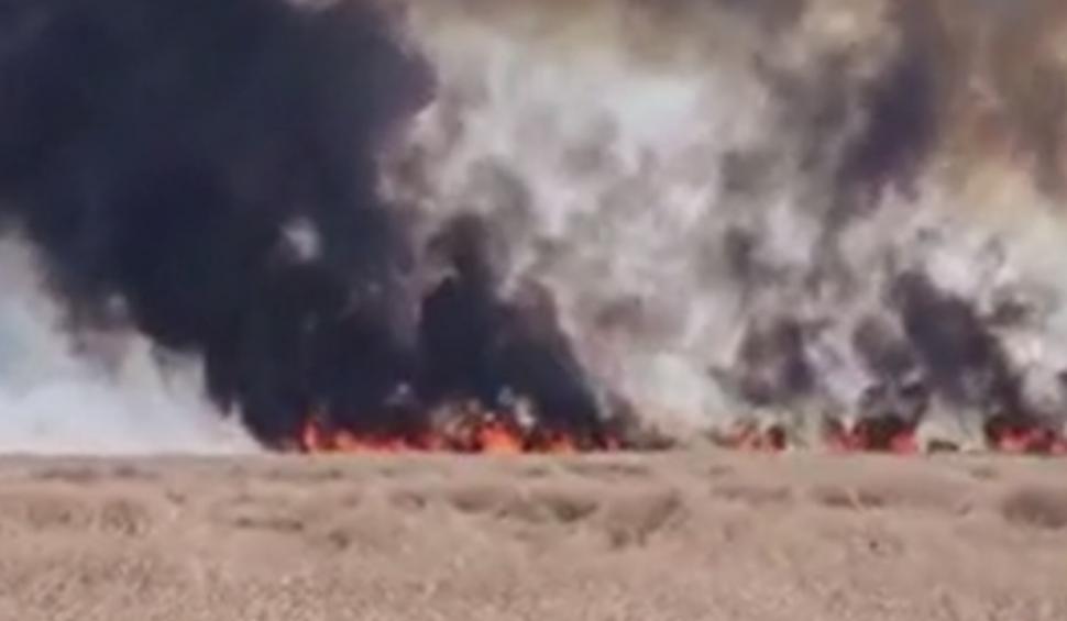 Incendiu de vegetaţie la un pas de Bucureşti. Traficul este deviat prin localitatea Măgurele 847226