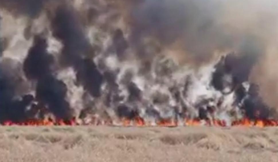 Incendiu de vegetaţie la un pas de Bucureşti. Traficul este deviat prin localitatea Măgurele 847227