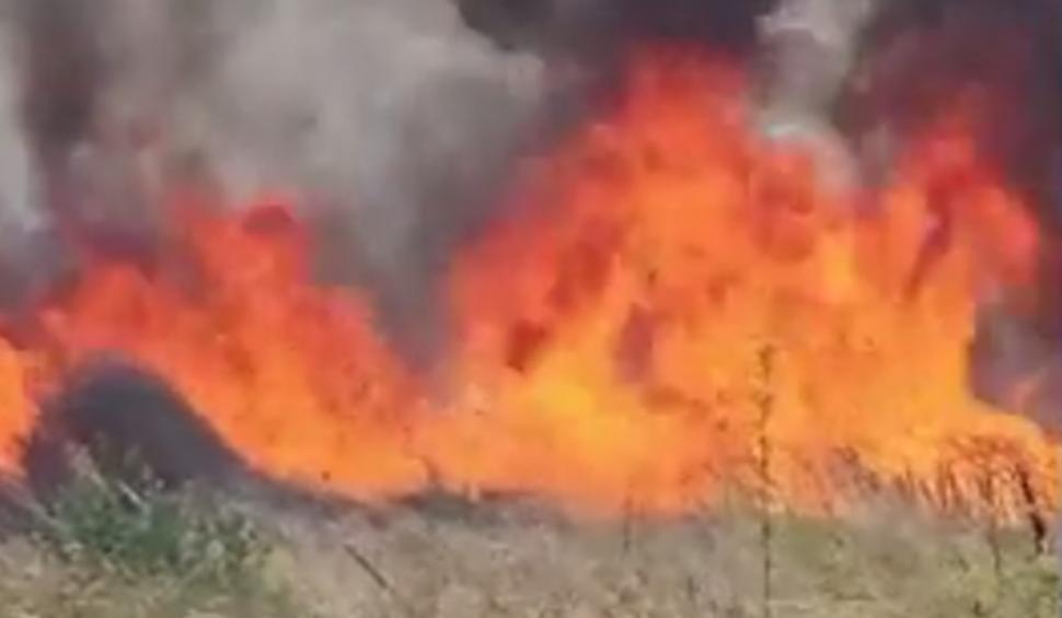 Incendiu de vegetaţie la un pas de Bucureşti. Traficul este deviat prin localitatea Măgurele 847229