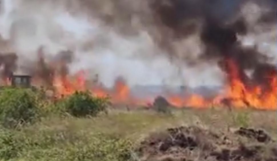 Incendiu de vegetaţie la un pas de Bucureşti. Traficul este deviat prin localitatea Măgurele 847230