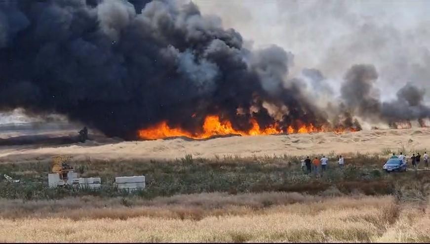 Incendiu de vegetaţie la un pas de Bucureşti. Traficul este deviat prin localitatea Măgurele 847233