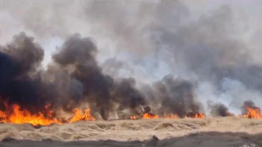 Incendiu de vegetaţie la un pas de Bucureşti. Traficul este deviat prin localitatea Măgurele 847234