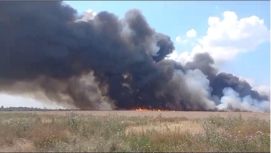 Incendiu de vegetaţie la un pas de Bucureşti. Traficul este deviat prin localitatea Măgurele 847237