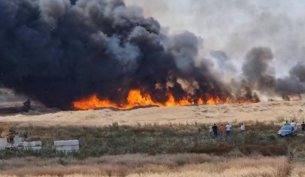 Incendiu de vegetaţie la un pas de Bucureşti. Traficul este deviat prin localitatea Măgurele 847238