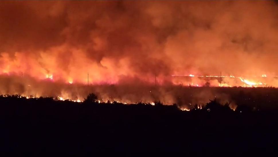 Incendiu de vegetaţie devastator în apropiere de Penitenciarul Poarta Albă, în județul Constanța 847326